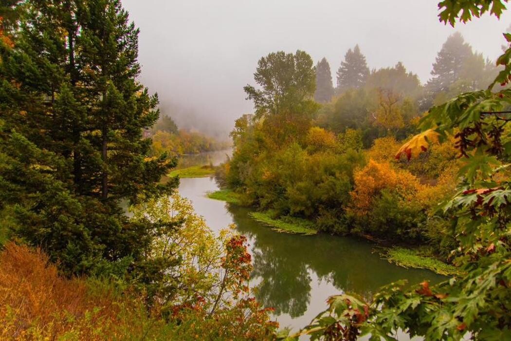 Images Main Street Bistro & Piano Bar-Cabaret-Pizzaria