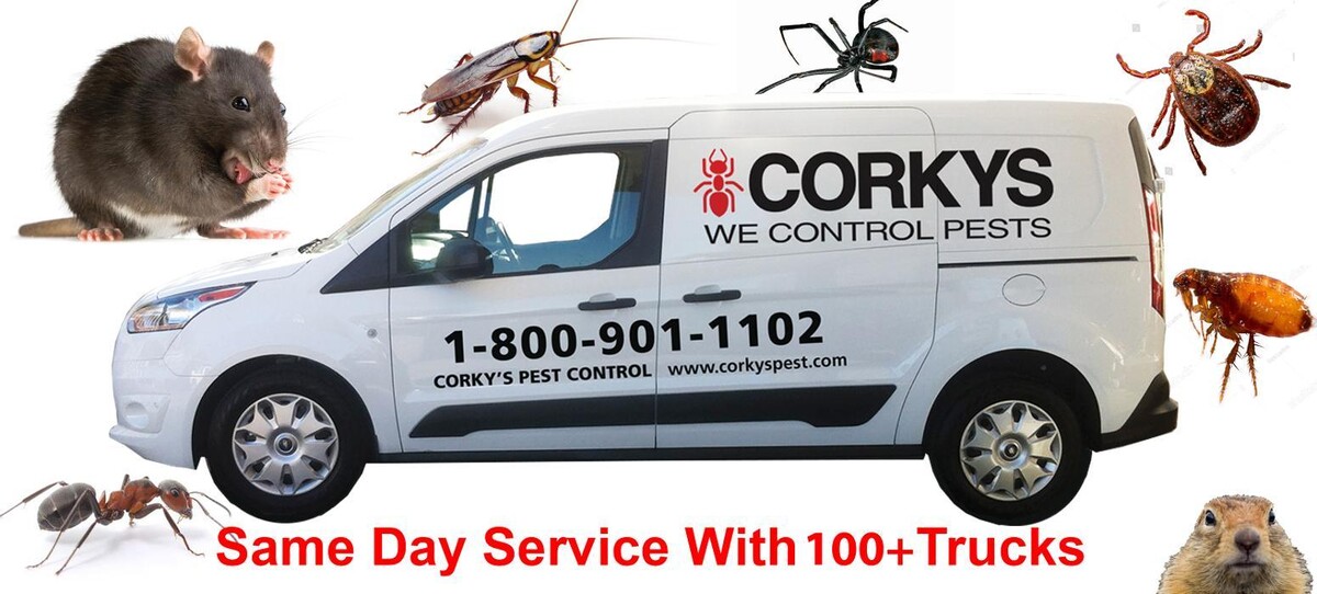 Images Corky's Pest Control