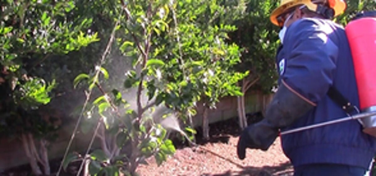 Images Corky's Pest Control