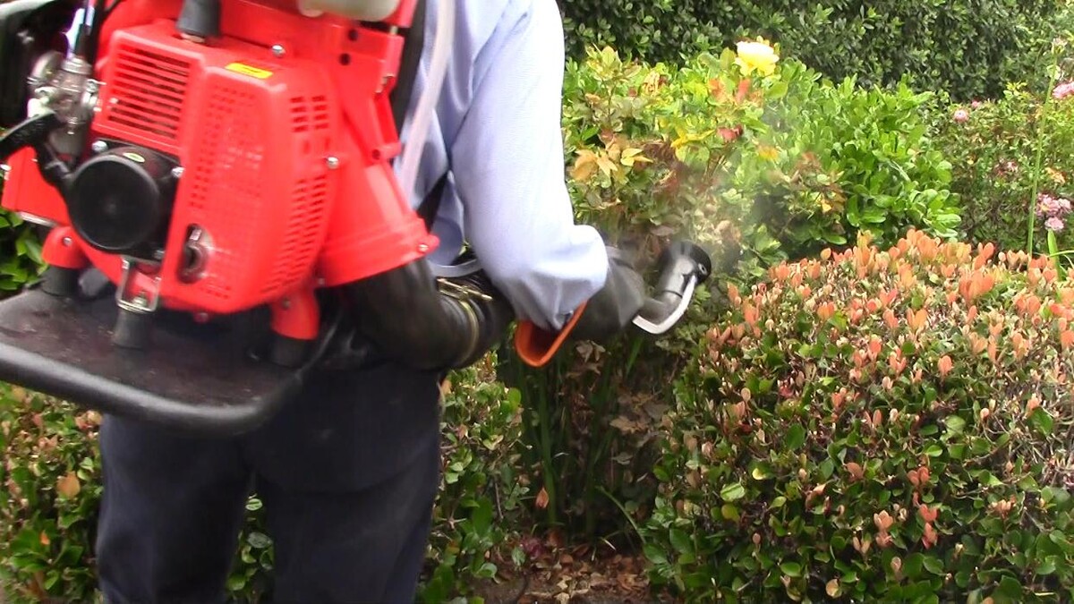 Images Corky's Pest Control