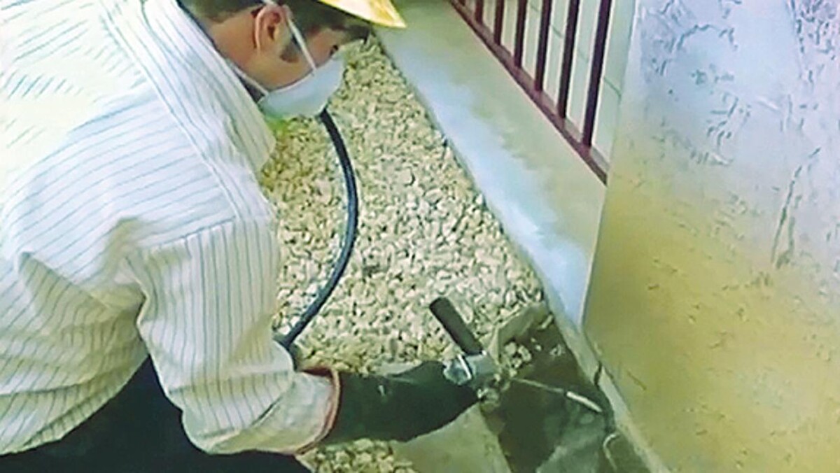 Images Corky's Pest Control