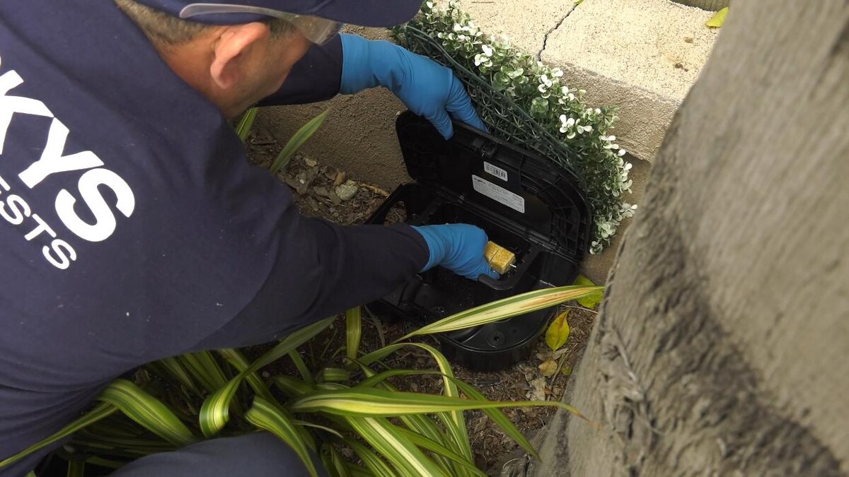 Images Corky's Pest Control