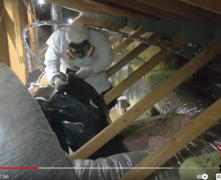 Images Corky's Pest Control