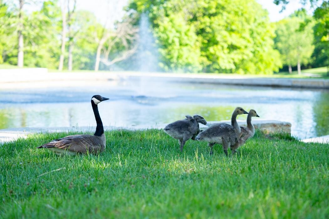 Images Oak Ridge Family Social Club