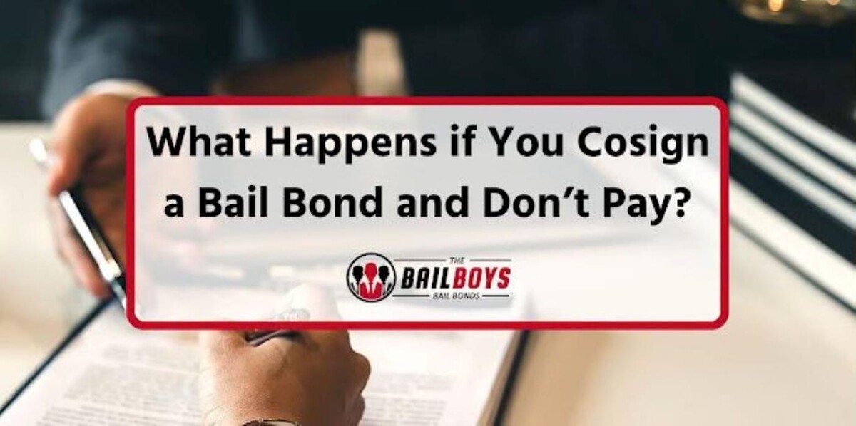 Images The Bail Boys Bail Bonds