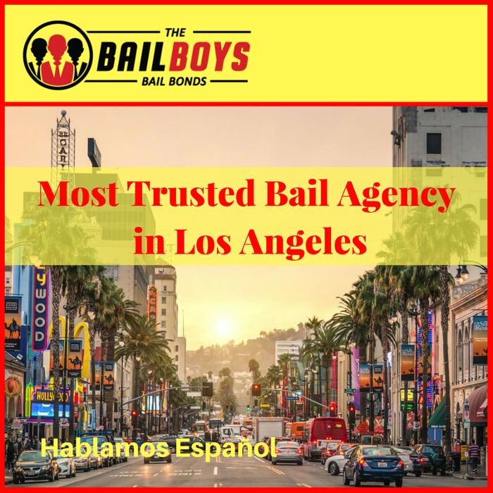 Images The Bail Boys Bail Bonds
