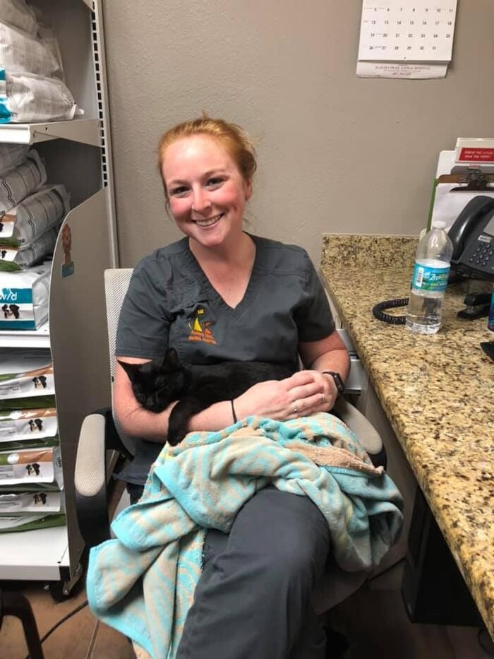 Images Alafaya Trail Animal Hospital