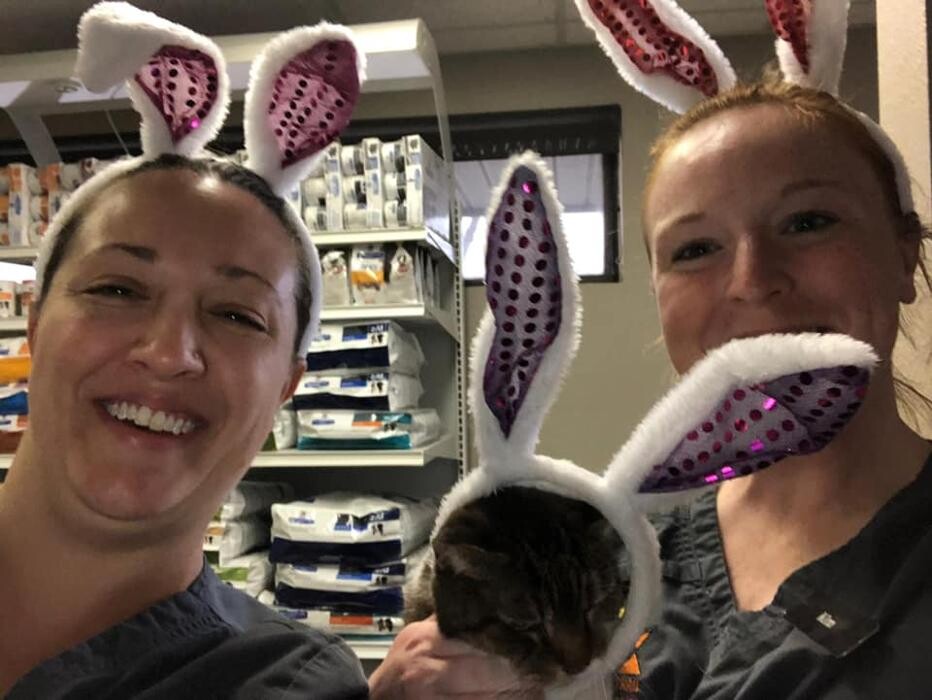 Images Alafaya Trail Animal Hospital