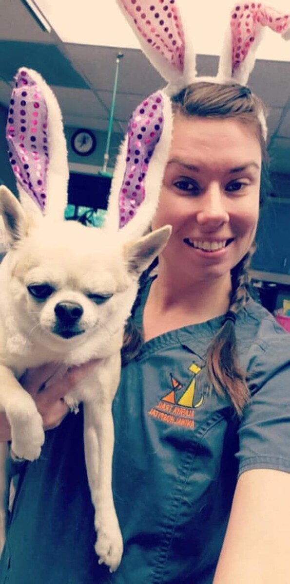 Images Alafaya Trail Animal Hospital