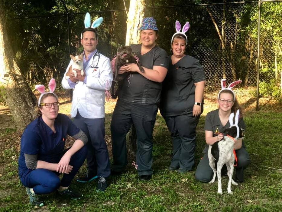 Images Alafaya Trail Animal Hospital