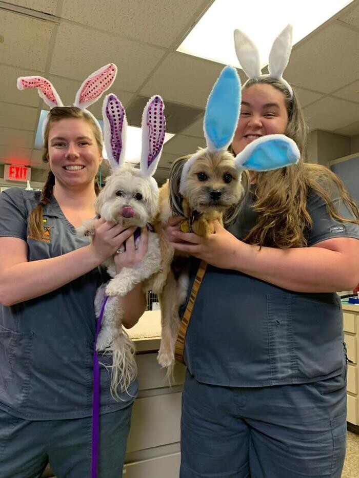 Images Alafaya Trail Animal Hospital