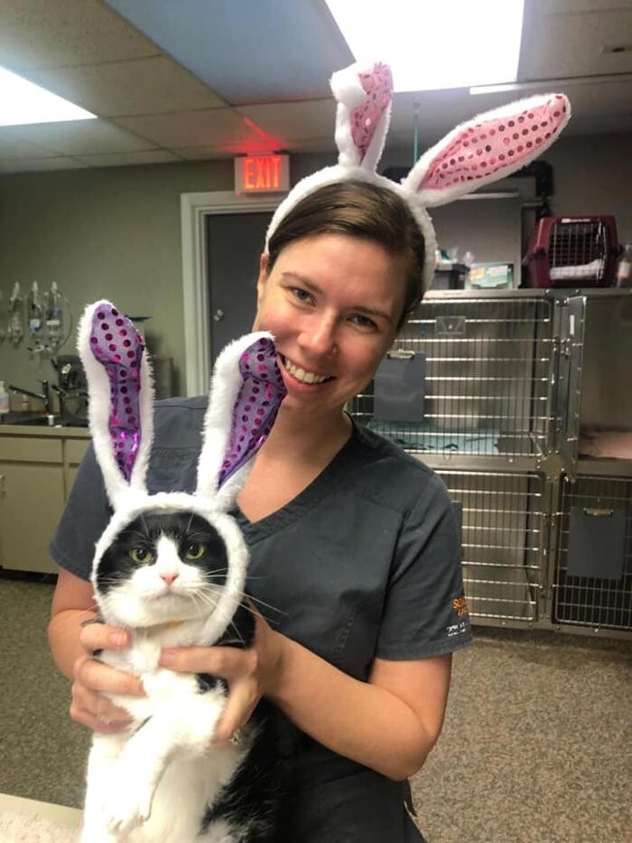 Images Alafaya Trail Animal Hospital