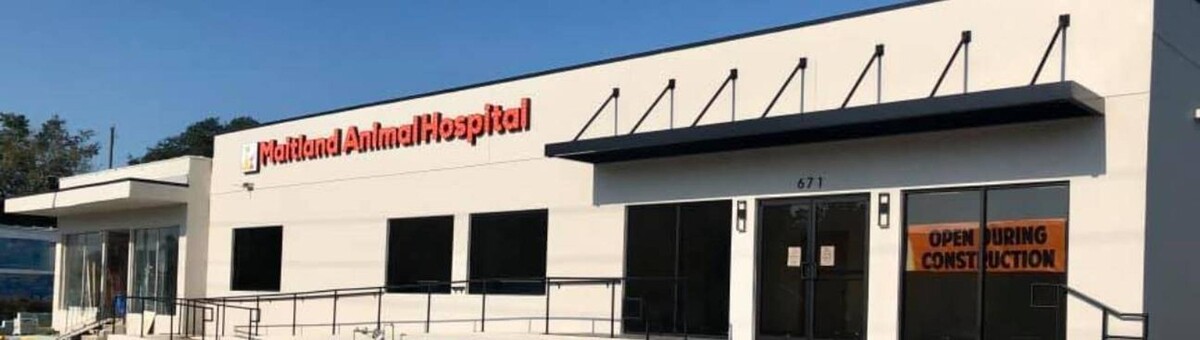 Images Maitland Animal Hospital