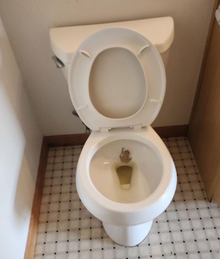 Images Double Scope Inspections, LLC