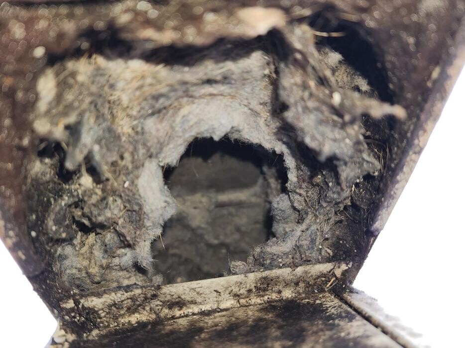 Images Double Scope Inspections, LLC