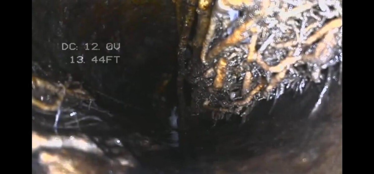 Images Double Scope Inspections, LLC