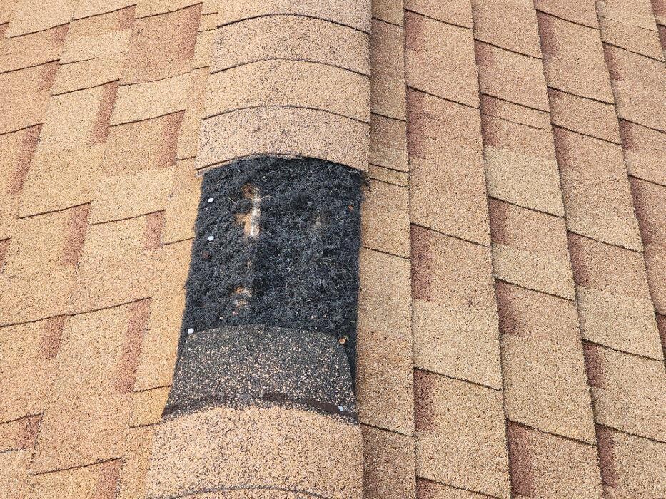 Images Double Scope Inspections, LLC