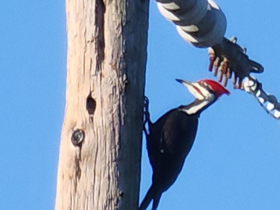 Images Double Scope Inspections, LLC