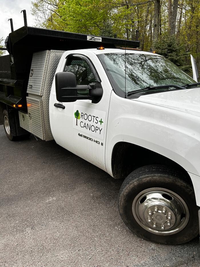 Images Roots and Canopy Solutions