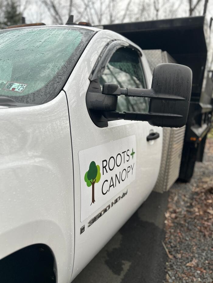 Images Roots and Canopy Solutions