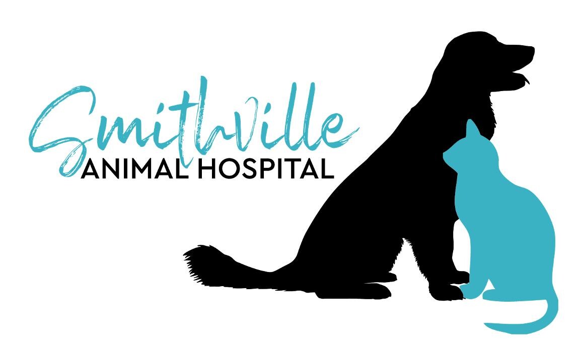 Images Taylor Animal Hospital Of Smithville