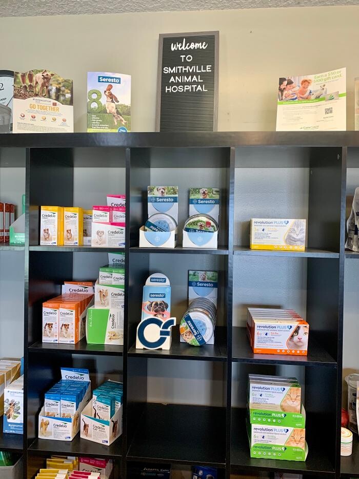 Images Taylor Animal Hospital Of Smithville