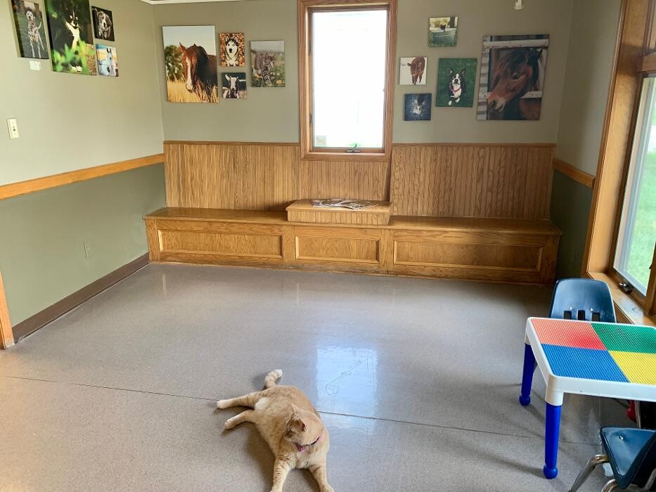 Images Taylor Animal Hospital Of Smithville