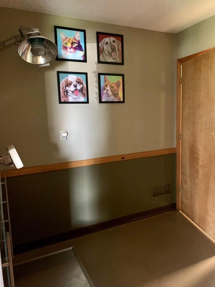 Images Taylor Animal Hospital Of Smithville