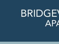 Website Screenshot Bridgeville Towers