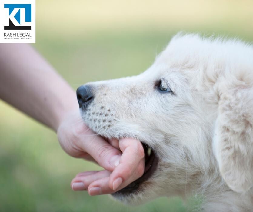 Images Kash Legal Group - Temecula Personal Injury and Accident Attorneys