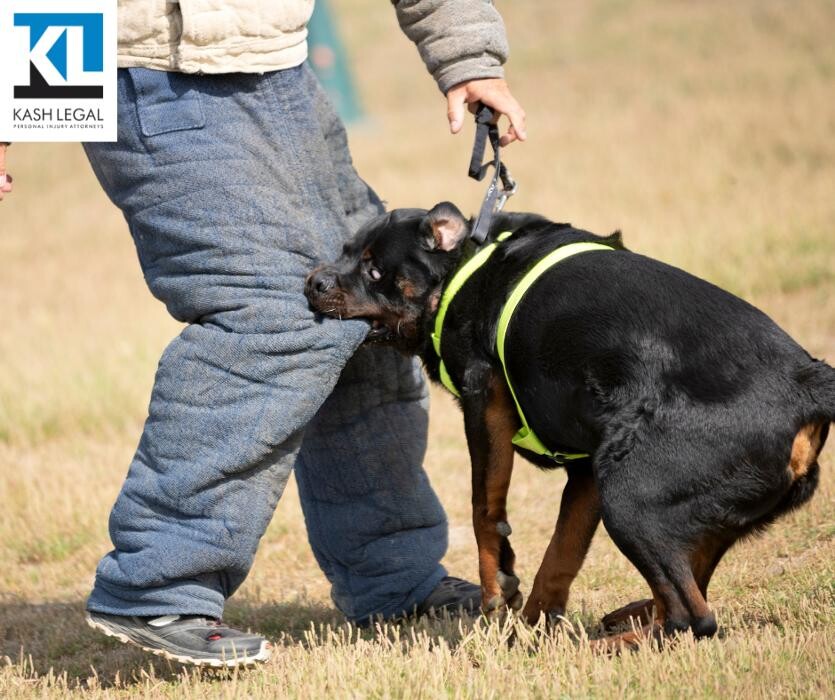 Images Kash Legal Group - Chula Vista Personal Injury and Accident Lawyers