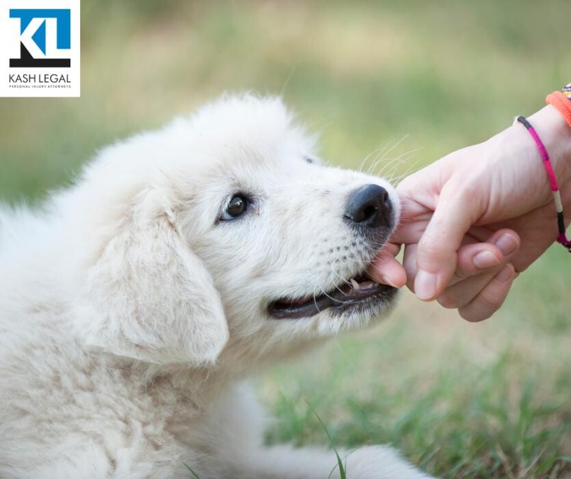 Images Kash Legal Group - Pleasant Hill Personal Injury and Accident Lawyers