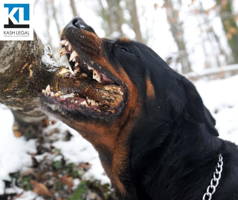 Images Kash Legal Group - Sacramento Personal Injury and Accident Lawyers