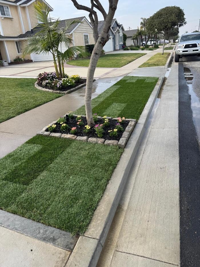 Images Greener Gardens Landscaping