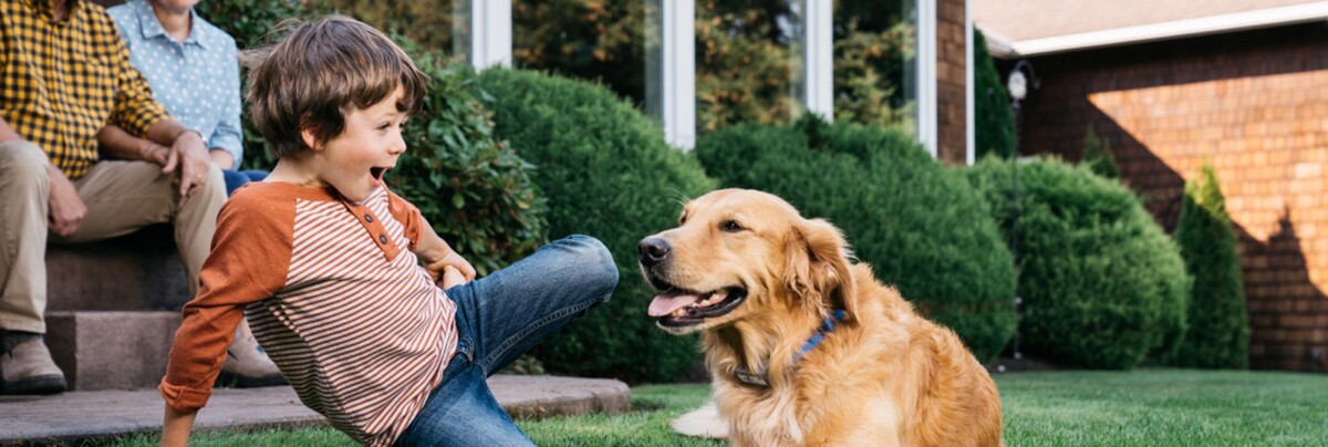 Images Dog Guard of Central Indiana