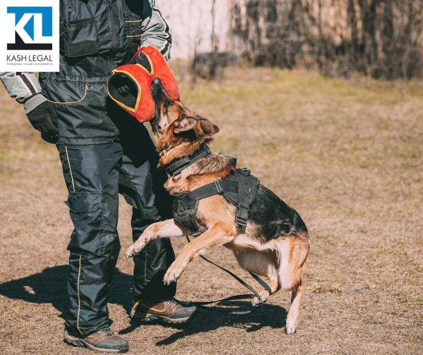 Images Kash Legal Group - Reseda Personal Injury and Accident Lawyers