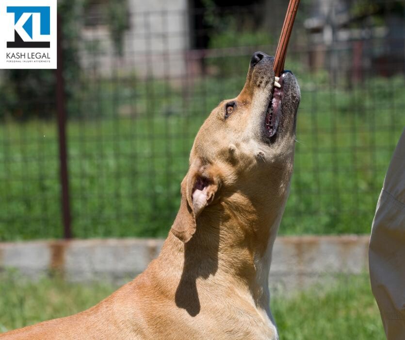 Images Kash Legal Group - San Jose Personal Injury and Accident Lawyers