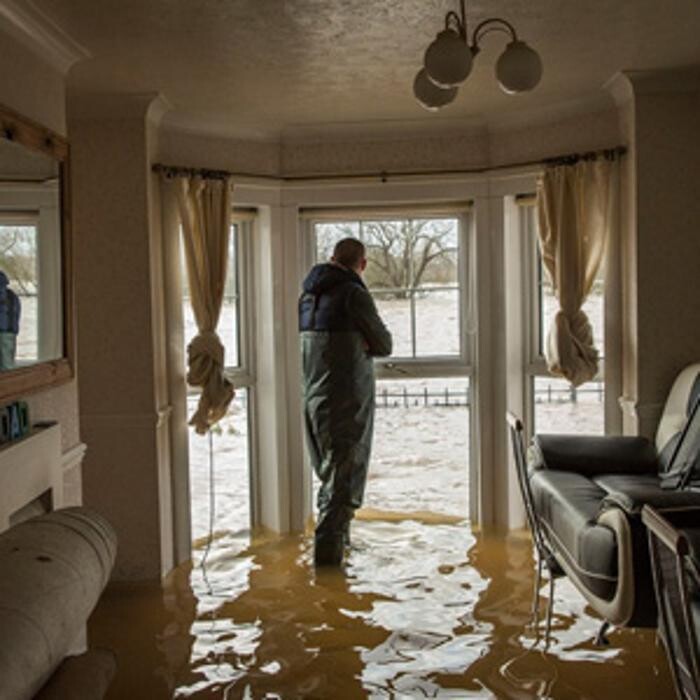 Images EverReady Restoration