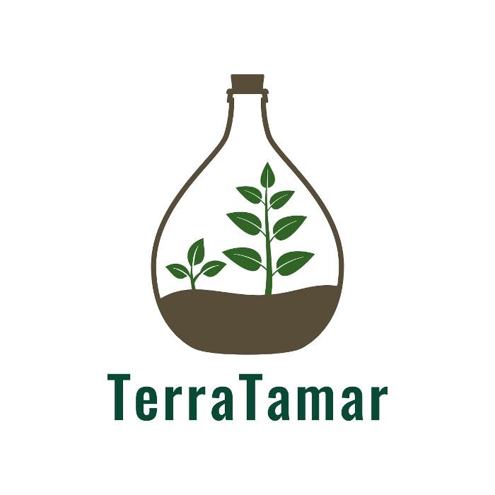 Images TerraTamar