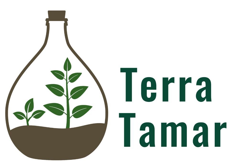 Images TerraTamar