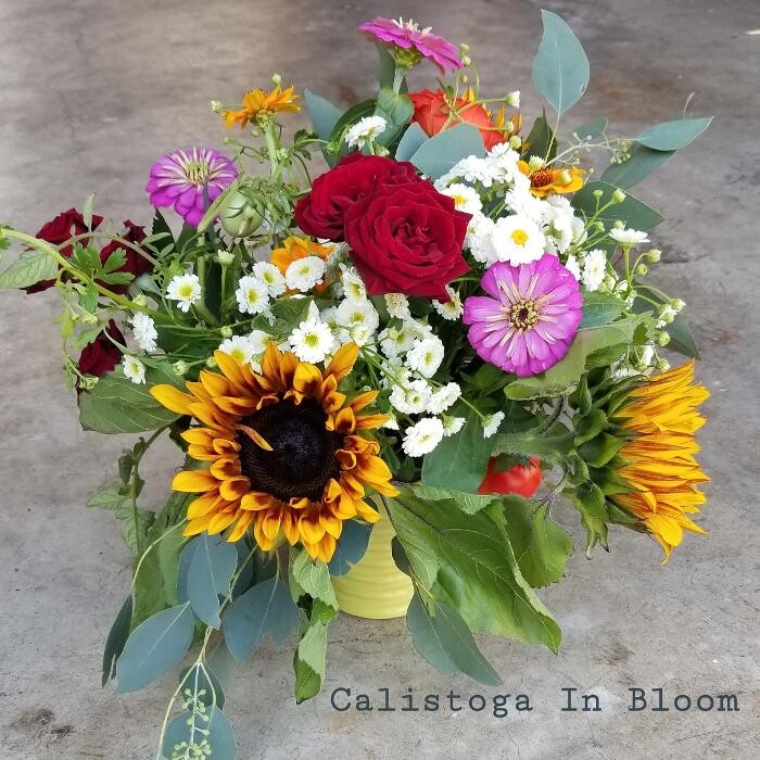SoCo In Bloom Logo
