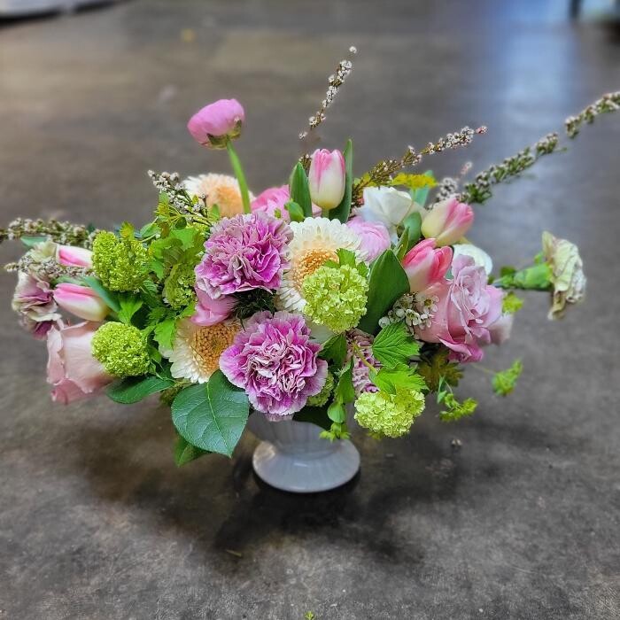 Images SoCo In Bloom