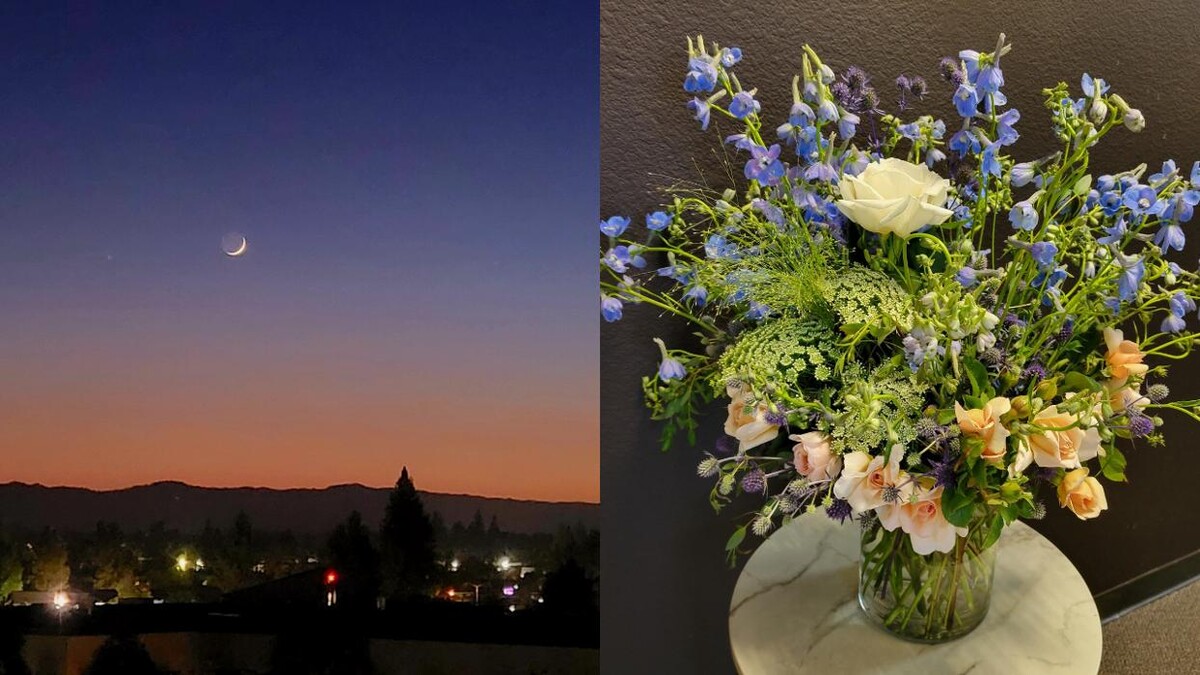 Images SoCo In Bloom