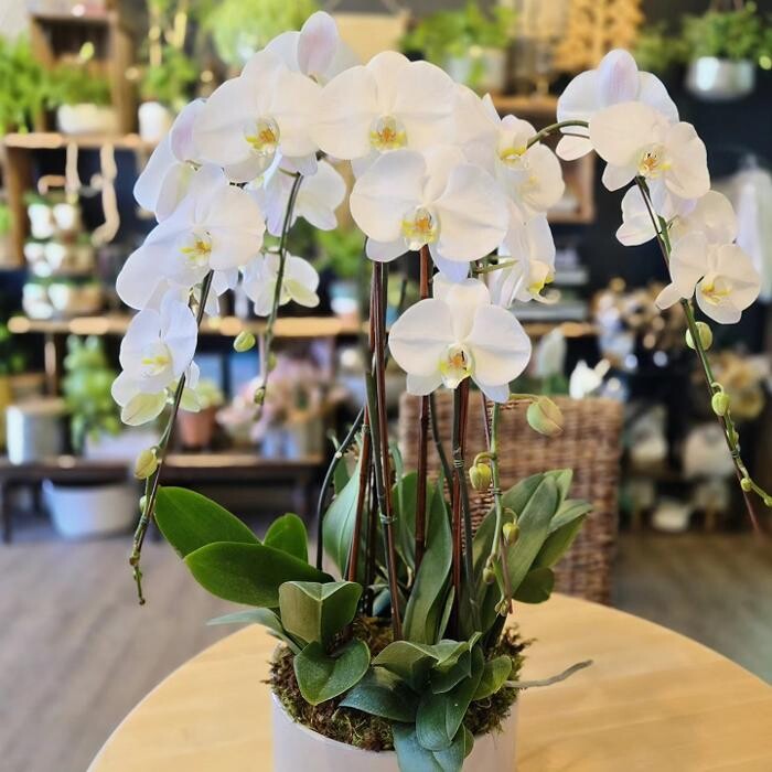 Images A Goode Florist