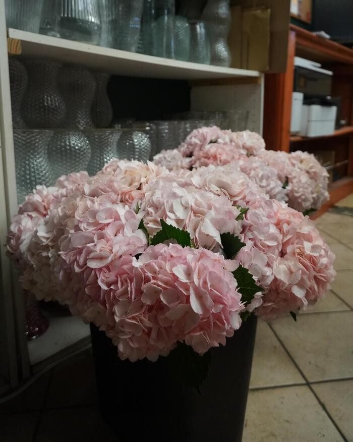 Images A Goode Florist