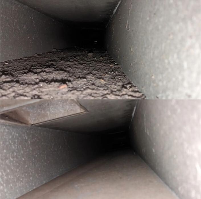 Images Dewdrop Carpet Cleaning