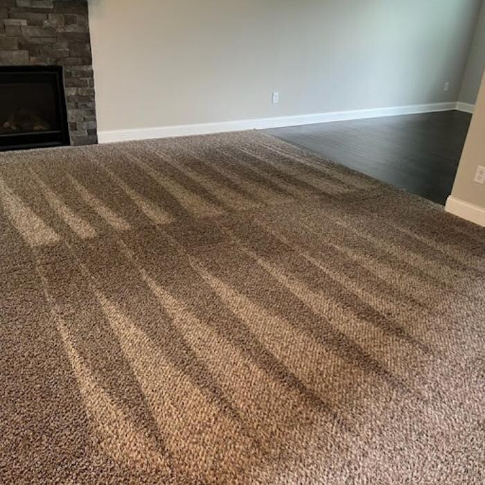 Images Dewdrop Carpet Cleaning