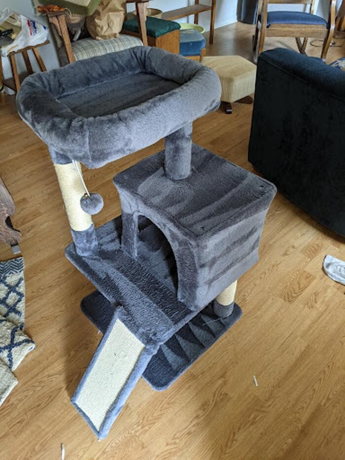 Images Dewdrop Carpet Cleaning