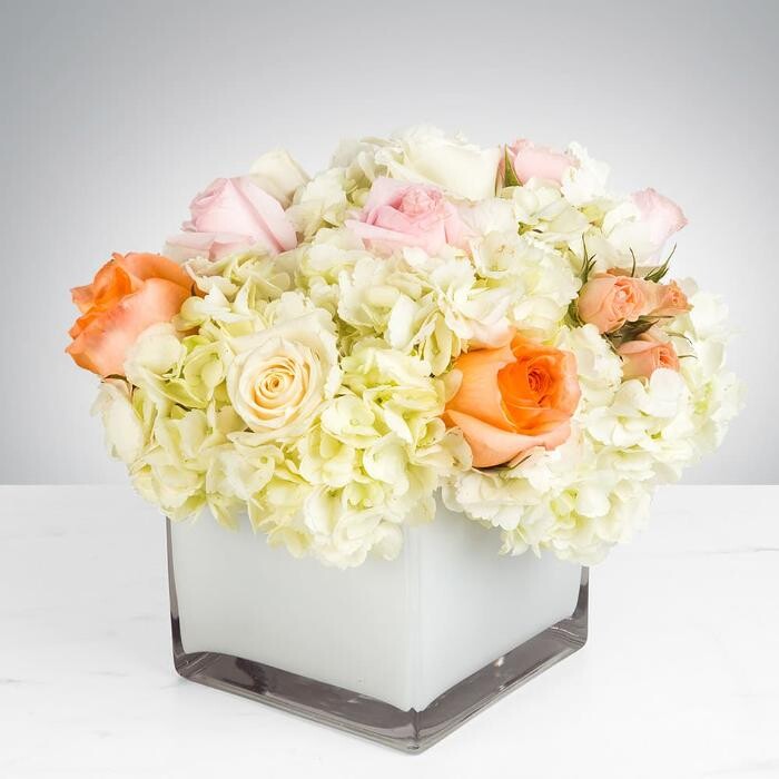 Images The Flower Bucket