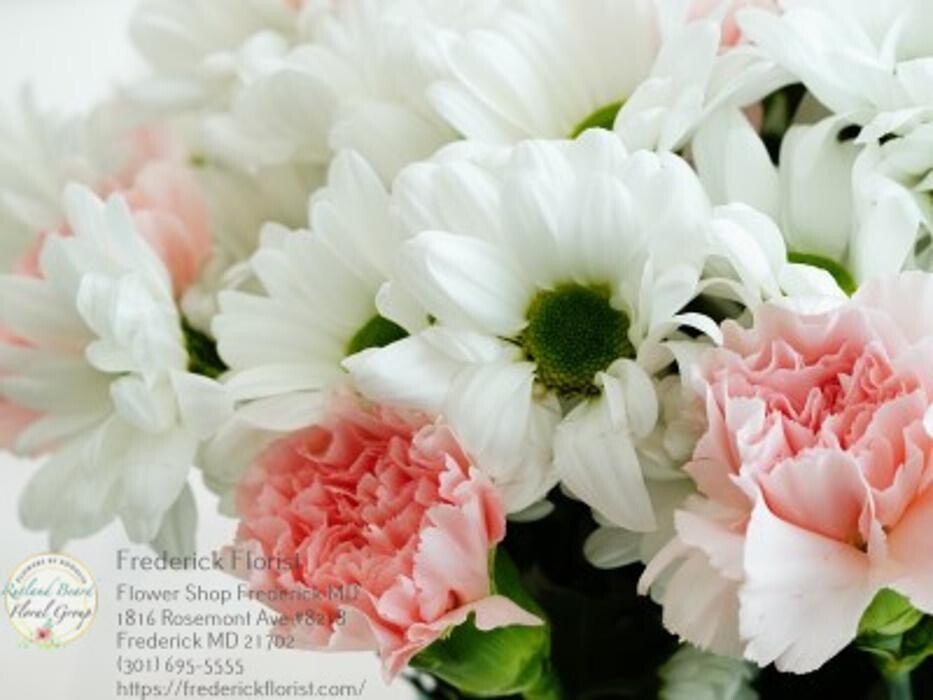 Images The Flower Bucket